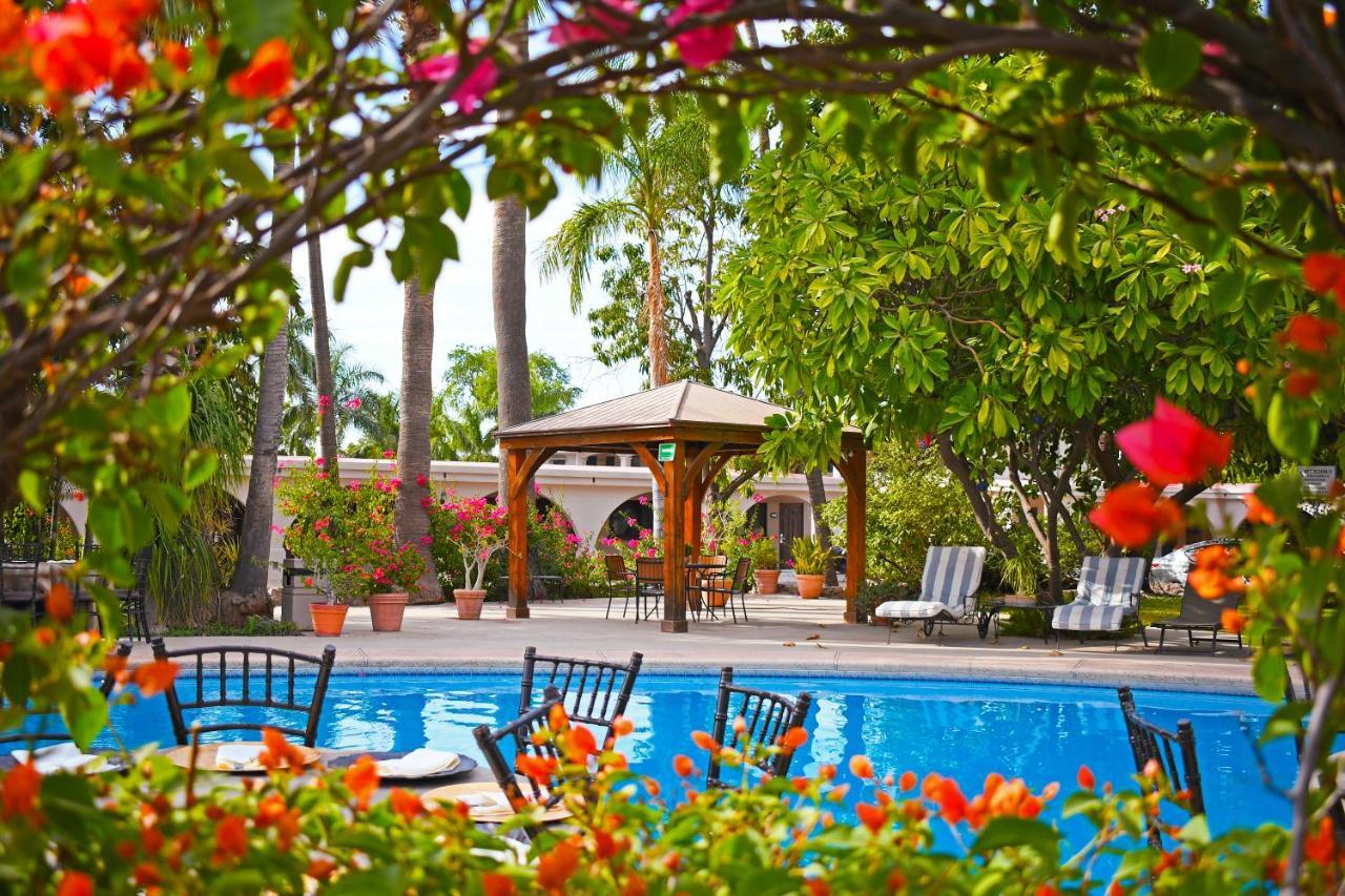 Hotel Del Rio Navojoa Exteriér fotografie